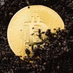 Использование индикатора RVI в маржинальной торговле на CoinEx