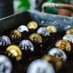Использование индикатора VIDYA для краткосрочного трейдинга на CoinEx