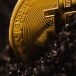 Гибкость торговли на CoinEx как настроить платформу под свои нужды